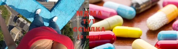 индика Горнозаводск