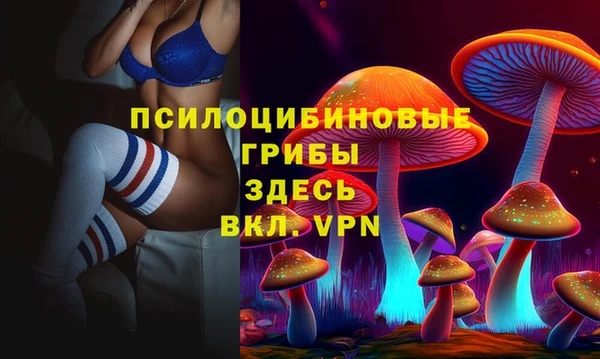 спиды Переславль-Залесский