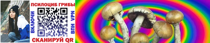гидра ССЫЛКА Чебоксары Галлюциногенные грибы MAGIC MUSHROOMS